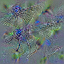 n02264363 lacewing, lacewing fly